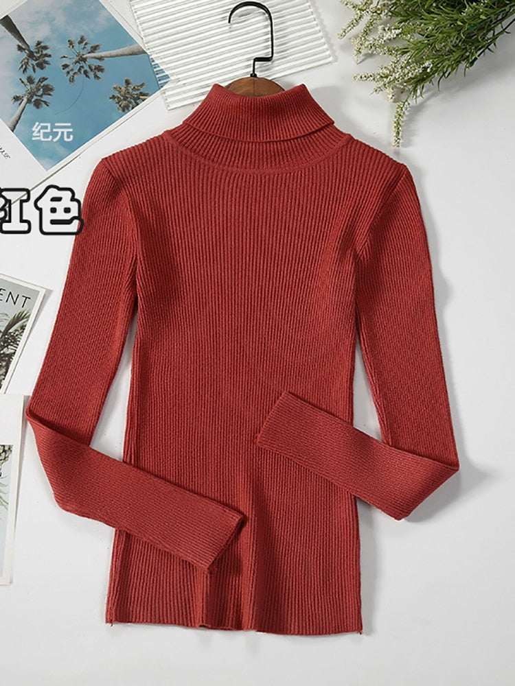 2023 Basic Turtleneck Women Sweaters Autumn Winter Thick Warm Pullover Slim Tops Ribbed Knitted Sweater Jumper Soft Pull Female