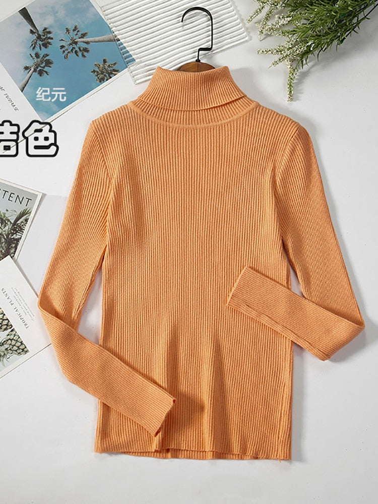 2023 Basic Turtleneck Women Sweaters Autumn Winter Thick Warm Pullover Slim Tops Ribbed Knitted Sweater Jumper Soft Pull Female