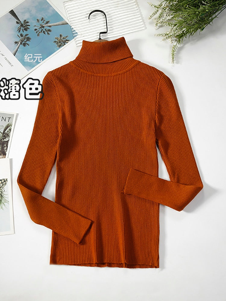 2023 Basic Turtleneck Women Sweaters Autumn Winter Thick Warm Pullover Slim Tops Ribbed Knitted Sweater Jumper Soft Pull Female